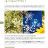 Livre : L'Art du Cyanotype – Image 4