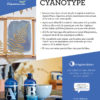 Livre : L'Art du Cyanotype – Image 10