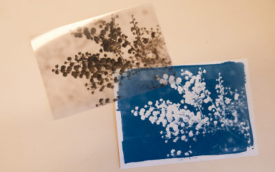 Comment imprimer une photo en cyanotype avec un négatif photo ?