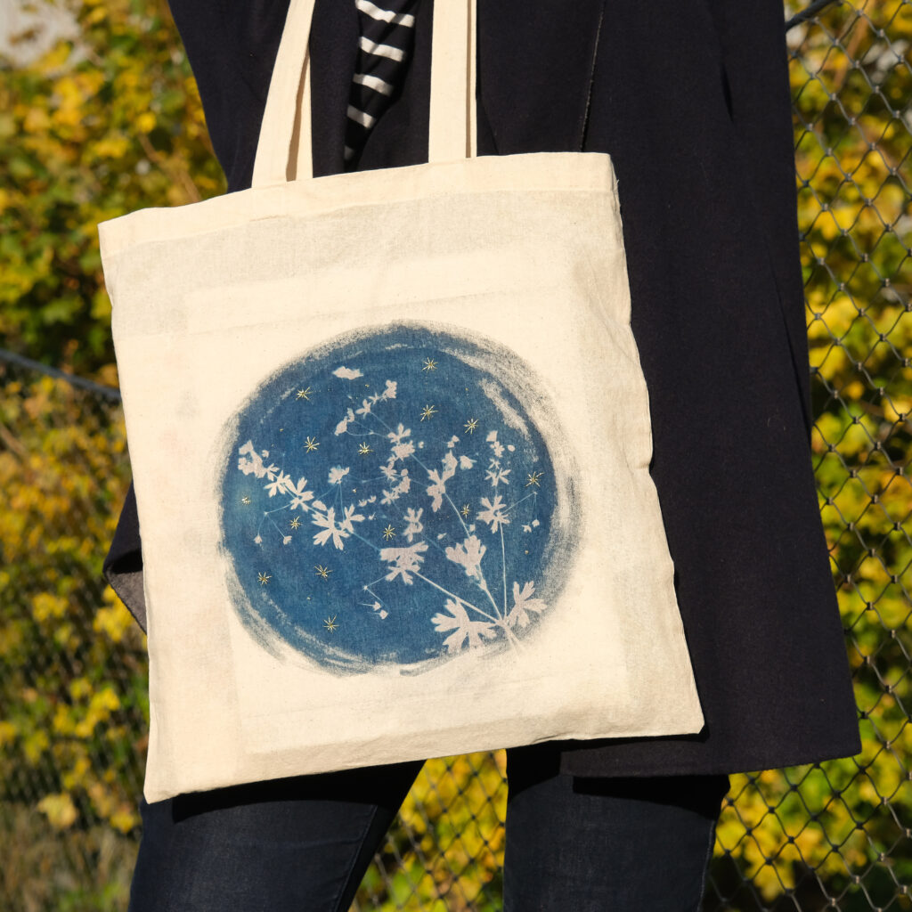 cyanotype sur tissu : disposition des éléments sur le tissu