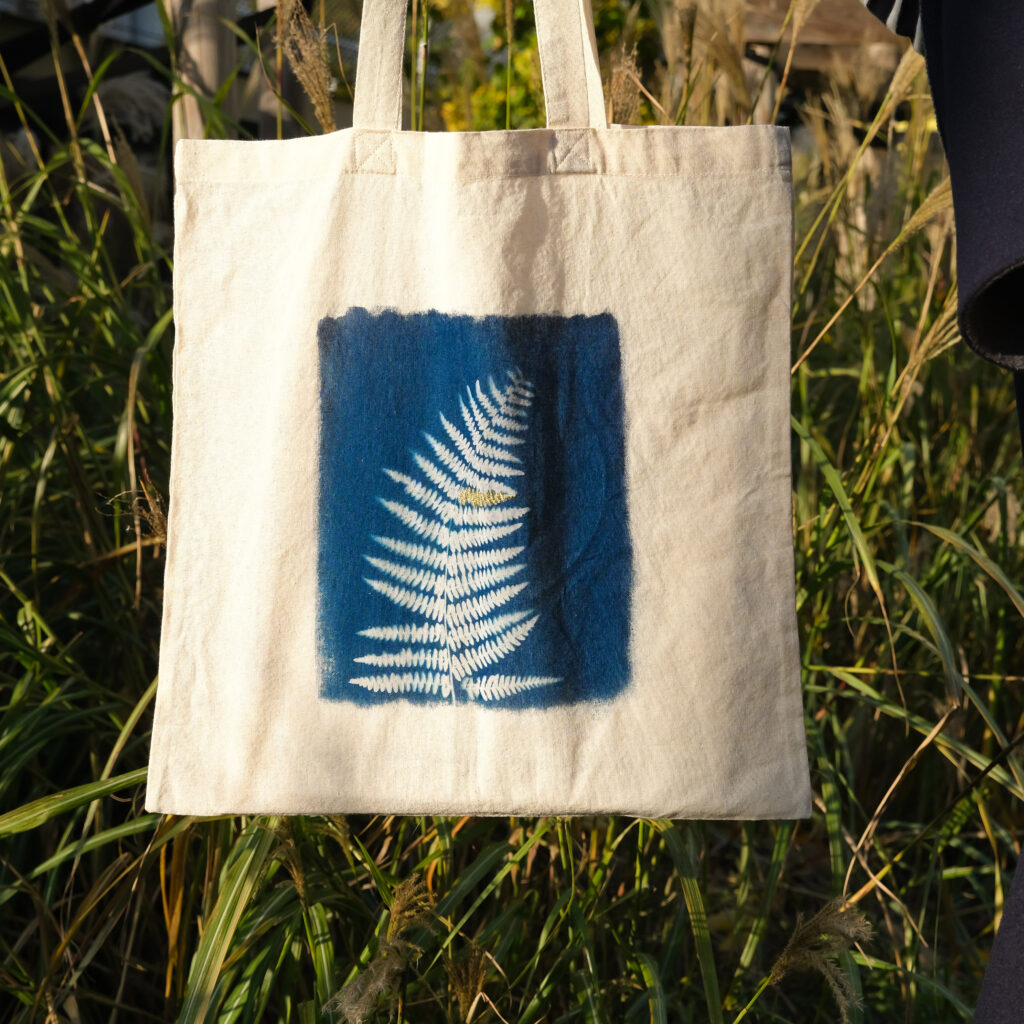 atelier cyanotype nature