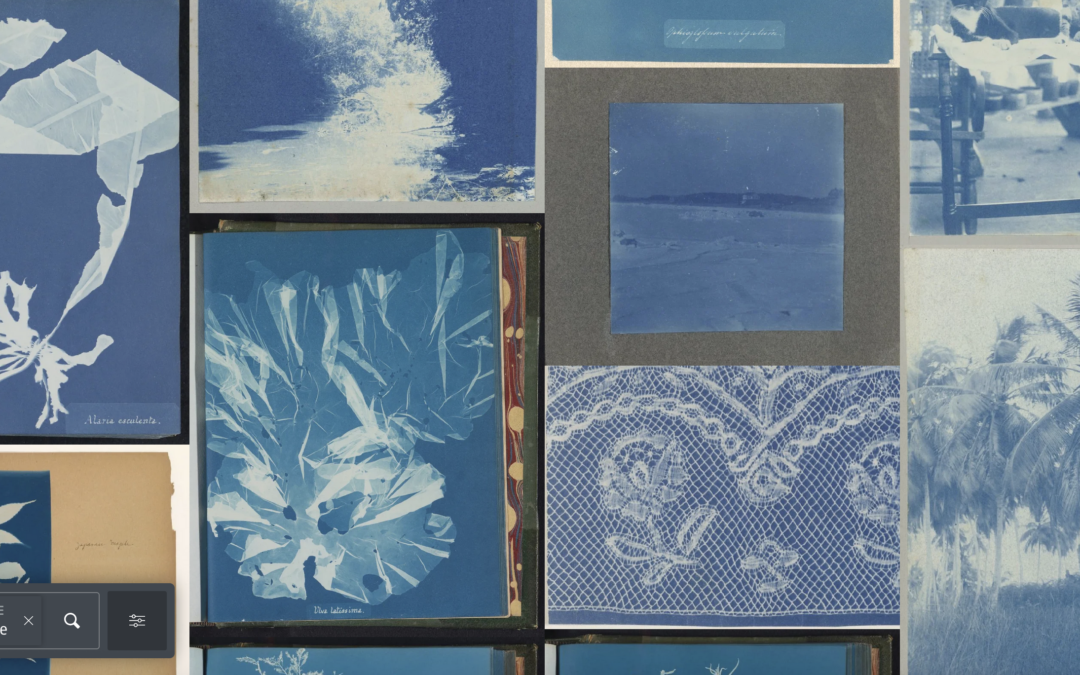Cette collection immense de cyanotypes est accessible gratuitement
