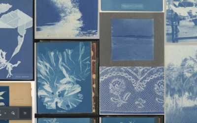Cette collection immense de cyanotypes est accessible gratuitement