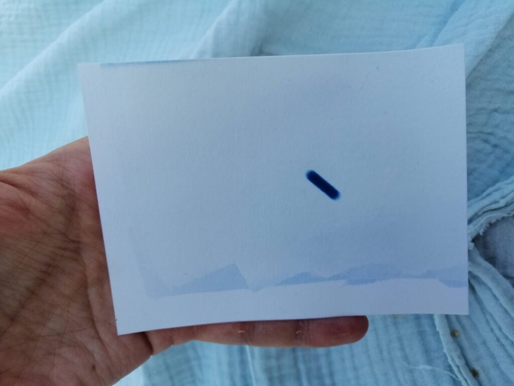 image du soleil sur cyanotype obtenu avec notre appareil photo immobile