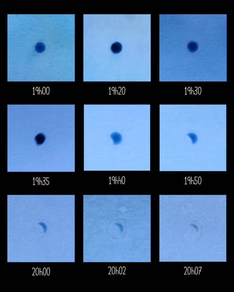 cyanotypes de l'éclipse