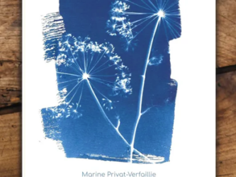 Livre cyanotype et poésie Et que brille sur toi le diamant fou